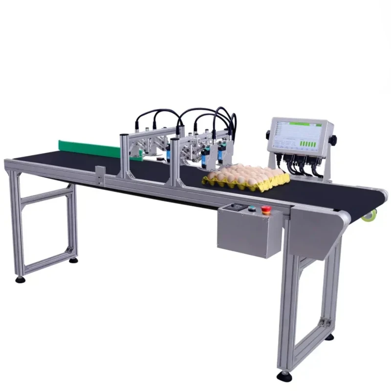 6 Lines Eggs Coder Inkjet Marking System Egg Inkjet Printer Expiration Production Date Printing Machine with 2m Conveyer Belt