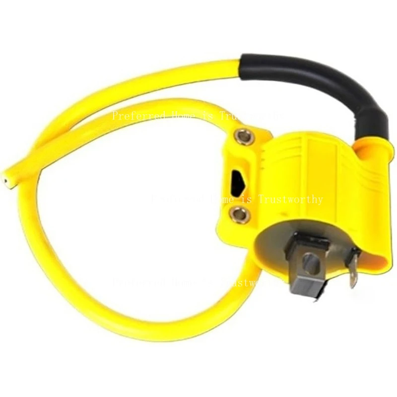 Cocok untuk Koil Pengapian Paket Tegangan Tinggi NIBBI 2T 4T Kompatibel dengan