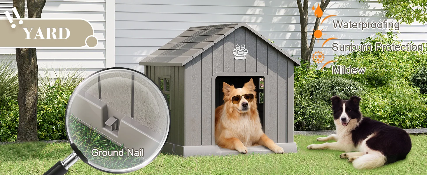 dog house