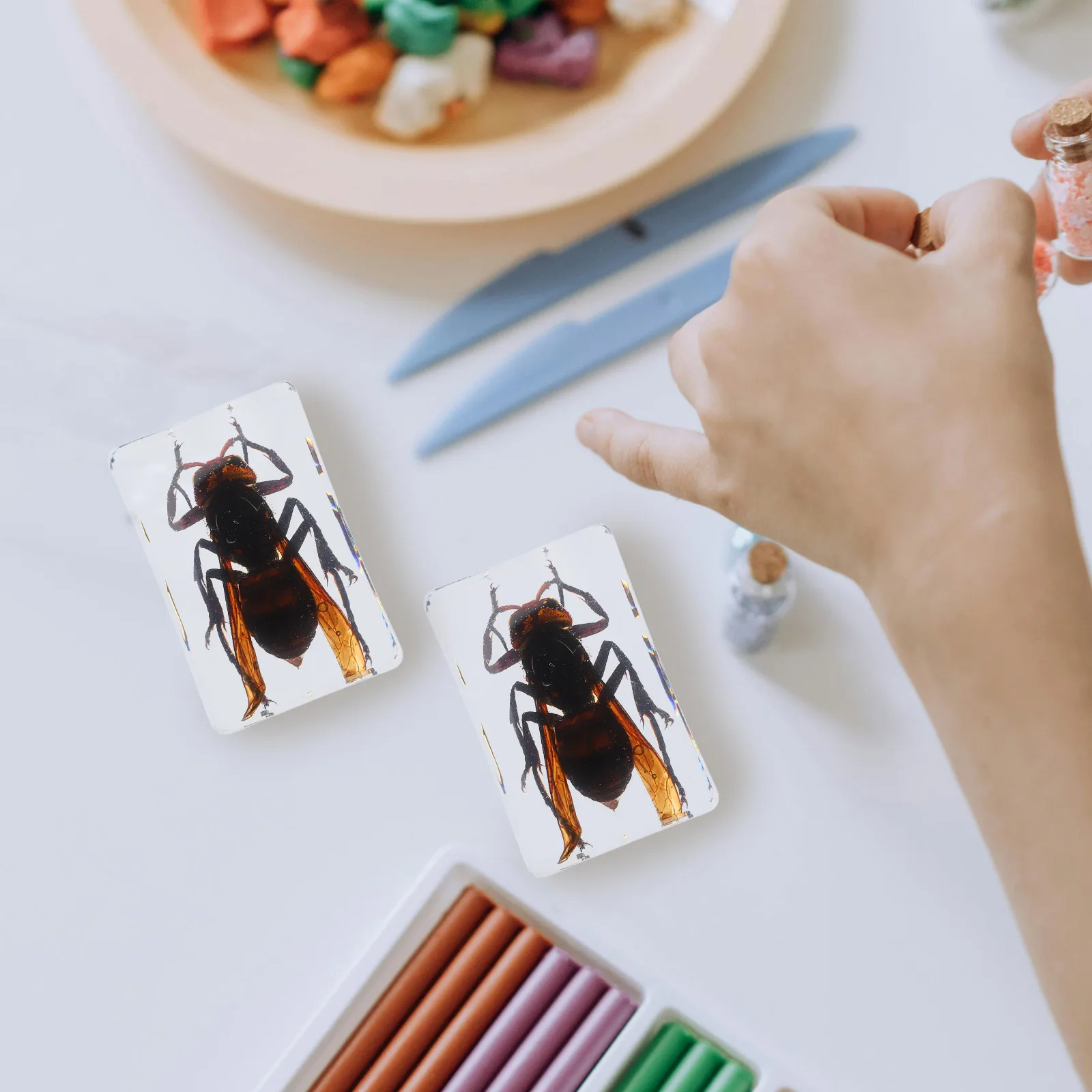 

6pcs Resin Insect Paperweights Transparent Wasp Specimen Preserved Animal Specimens Educational Science Supplies Biology Teacher