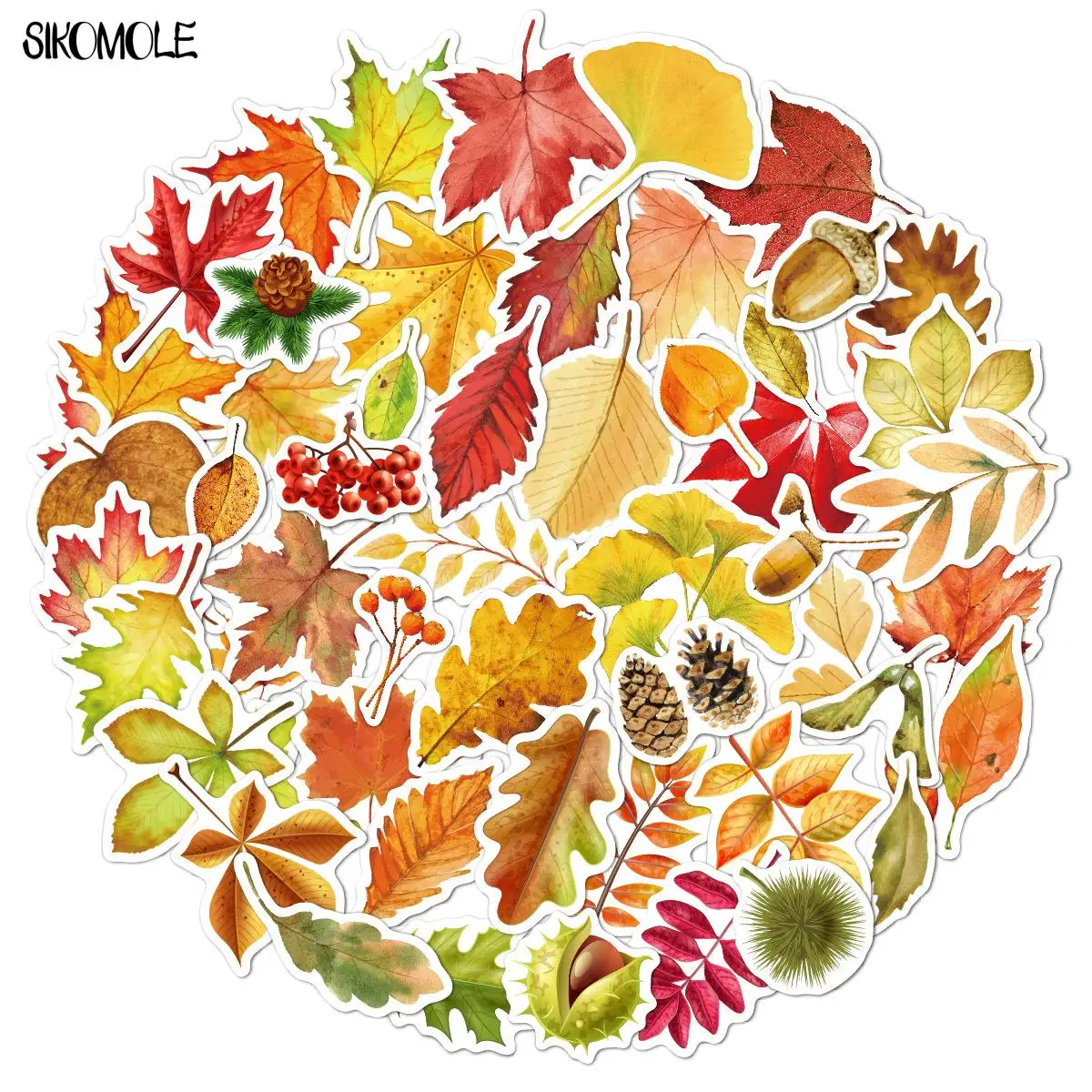 10/30/50PCS Autumn Fallen Leaves Stickers DIY Toys Skateboard Fridge Guitar Motor Laptop Luggage Kids Decals Graffiti Sticker F5