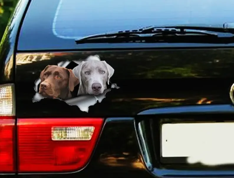 Brown and silver Labs car decal, lab decal, Labrador sticker, pet decal