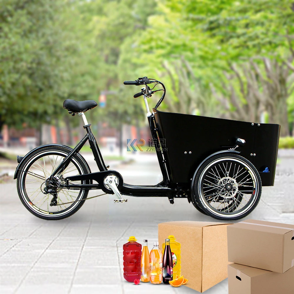 CE Certification Electric Delivery Bike with Box 3 Wheel Cargo Bike Adult Length Distance Family Front Bicycle for Kids