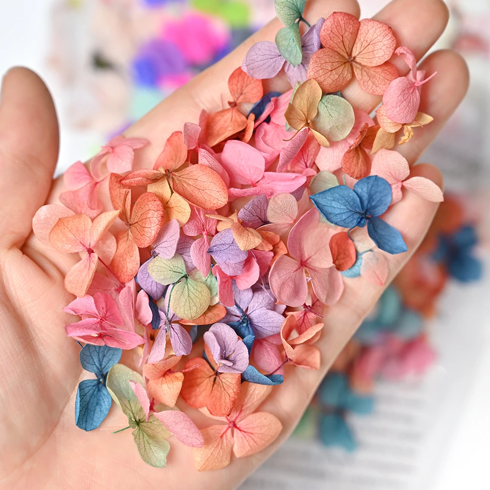 50pcs Mix Dry Flower 3D Gradient Dried Flower for Nail Charms Fashion Colorful Manual DIY UV Gel Polish Nail Art Manicure Girls