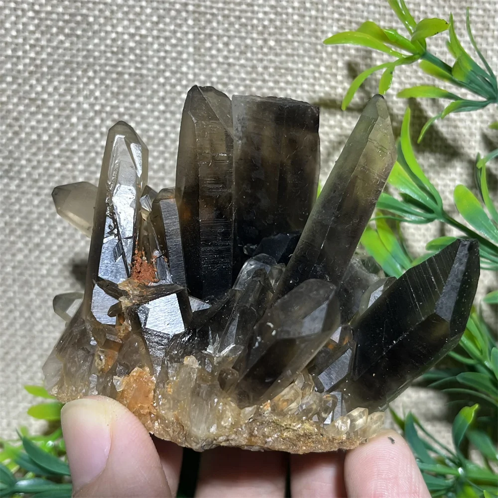 

Natural Smokey Crystal Cluster Specimen Healing Reiki Quartz High Quality Minerals Stone Spiritual Beauty Home Decoration