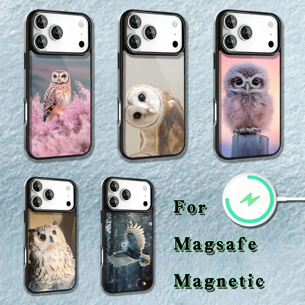 

Pet Cute Owl Phone Case For iPhone 17,16,15,14,13,12,11,Pro,Max,Plus,Mini,SE4,E Magnetic Magsafe Wireless Charging