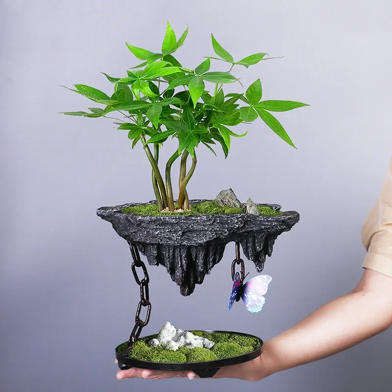 Creative retro money tree bonsai Phalaenopsis bamboo indoor floating island floating iron micro-landscape flower pot