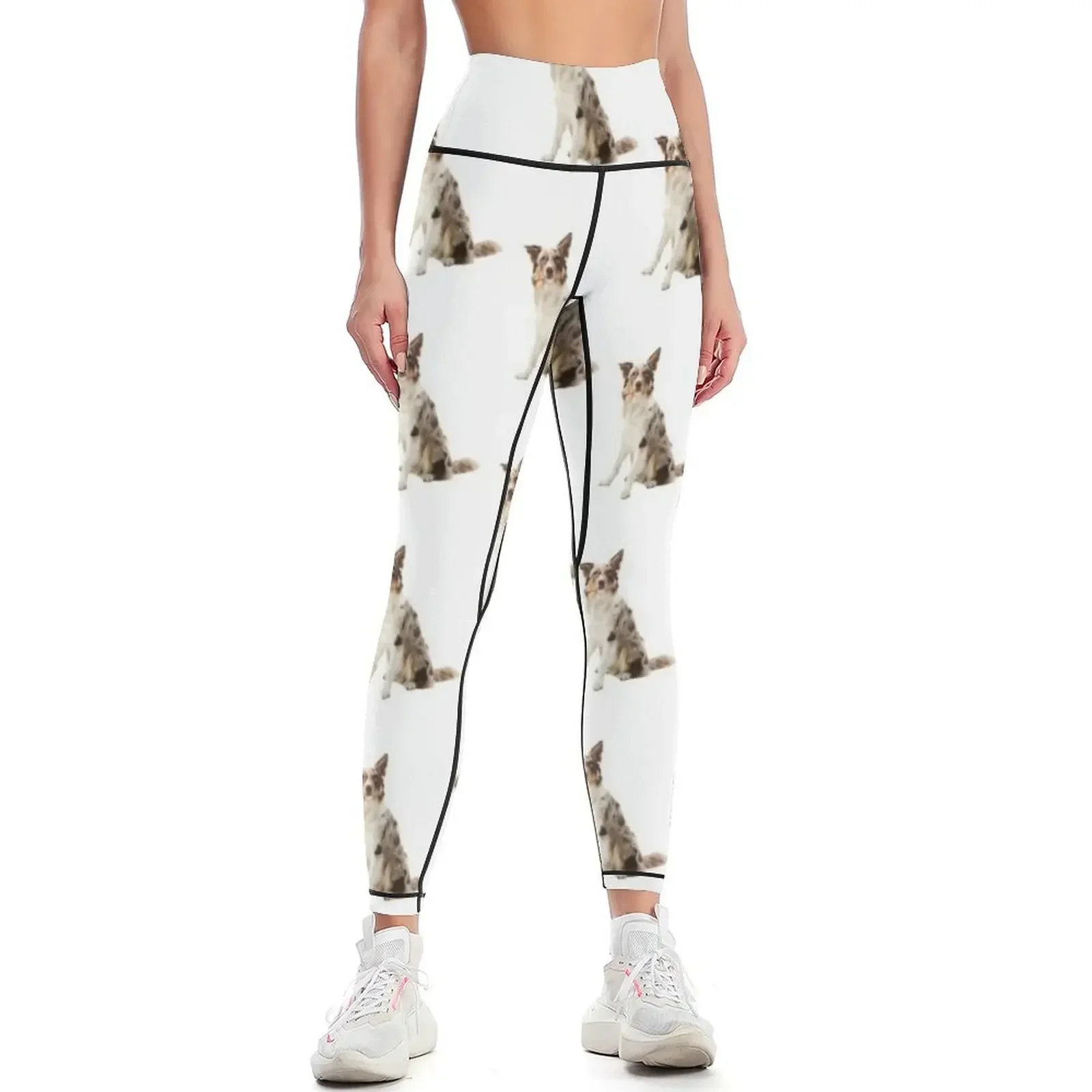 

Border collie Indie Leggings Women's tights Sports female Women's sportswear legging gym Womens Leggings