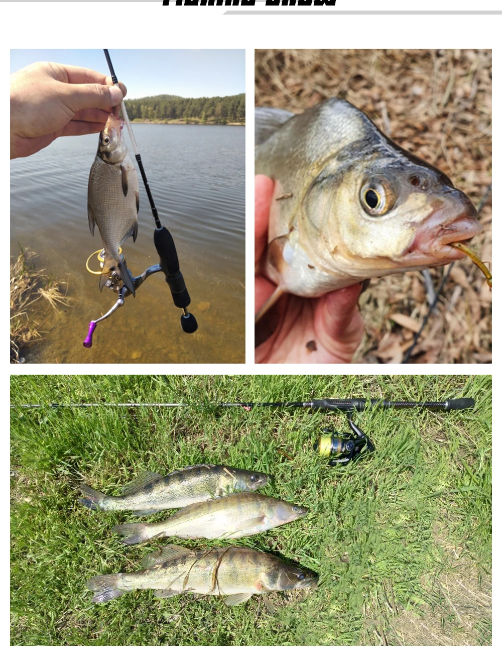 Spinpoler Weiche Köder Angeln Köder Shad Stick Wurm Meer Bass Gefälschte Regenwurm Künstliche Forelle Bass Drop Shot Barsch Leurre 10 teile/paket – Detail 7