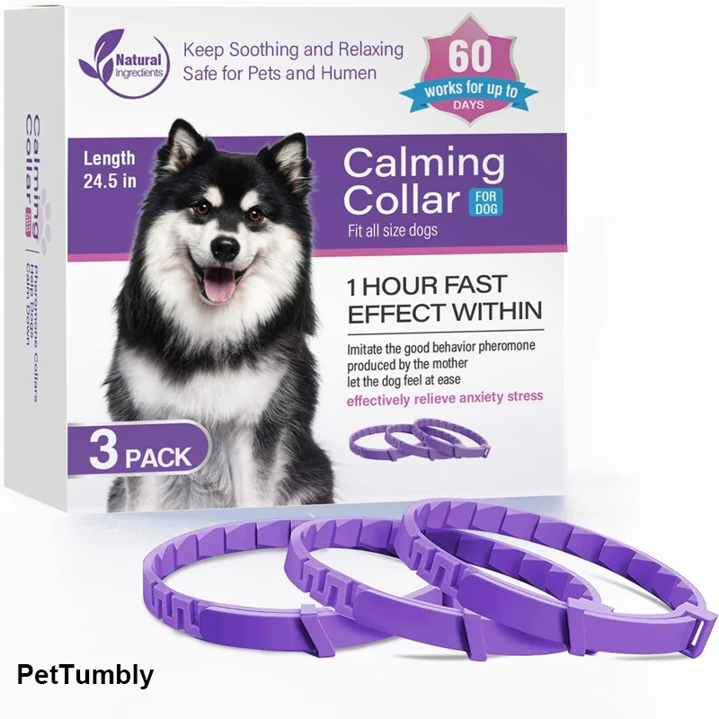 #41 Puppy Collars List of Top Picks