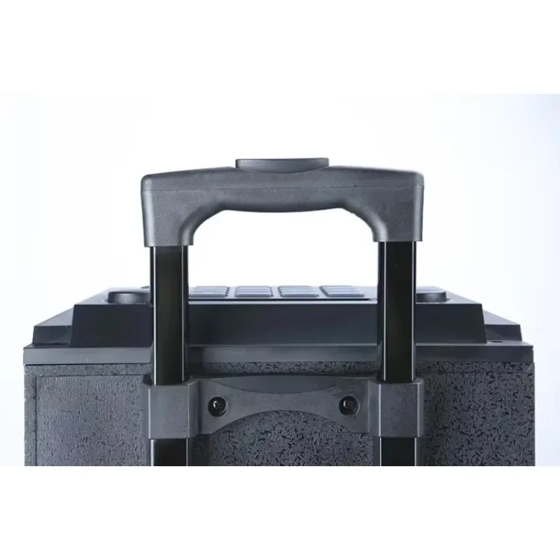 

8" Inch 600W Outdoor Karaoke Wooden Trolley Portable Blue Tooth Speaker With Wireless Mic Professional Audio