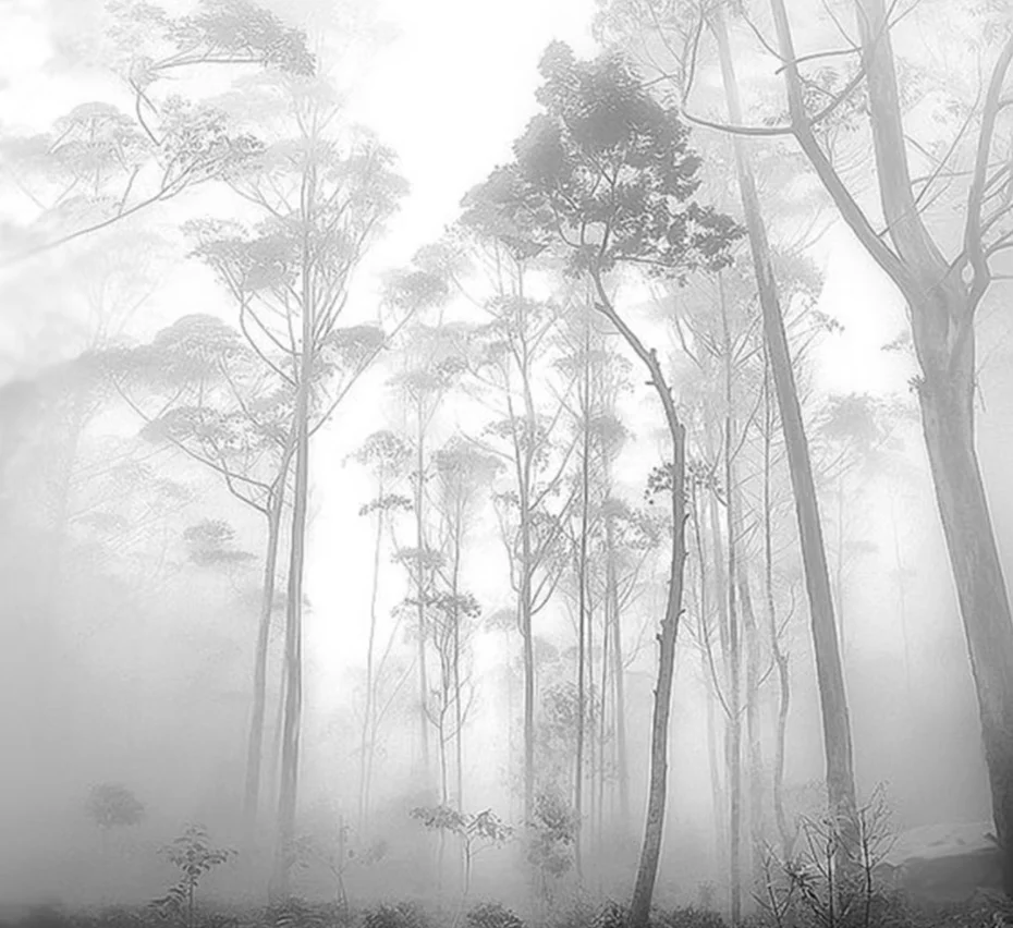 

Обои на заказ, черно-белое искусство, панно с изображением леса, декор для дома, панно с изображением туманного леса ранним утром.