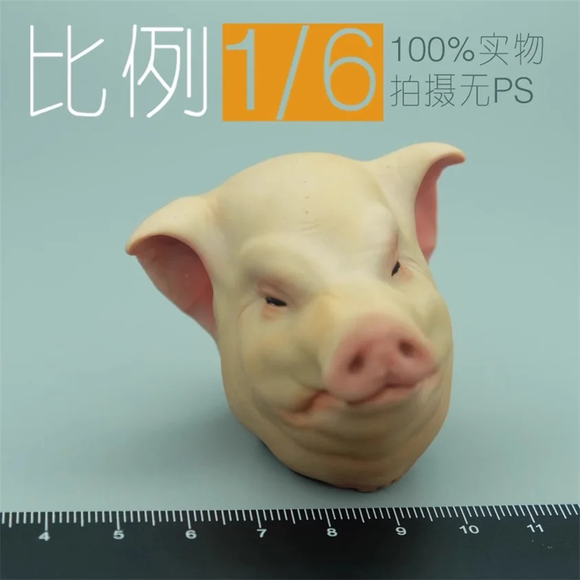 

CRWODHTOYS 1/6 Scale Soldier Pig Head Carving Sculpture High Quality Model For 12'' Action Figure Body In Stock