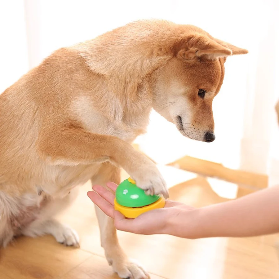 Cat and Dog Trainer, Pet Footprint Ring, Teddy Dog Ring, Meal Bell, Dog Intelligence Toy, Golden Haired Bell