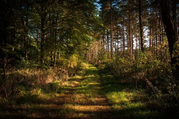

Универсальные багажники на крышу с LED-подсветкой для радиоуправляемых краулеров 1/14, 1/12, 1/10 (SCX10, CC01, MN, D90, D91, D99, MN90, MN99S)