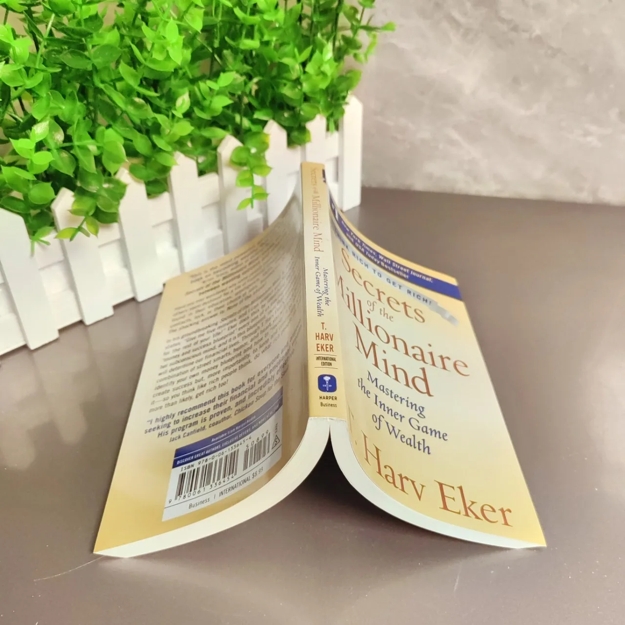 English Version Millionaire Mind Secrets: Master Wealth Mindset by T. Harv Eker | Finance Book