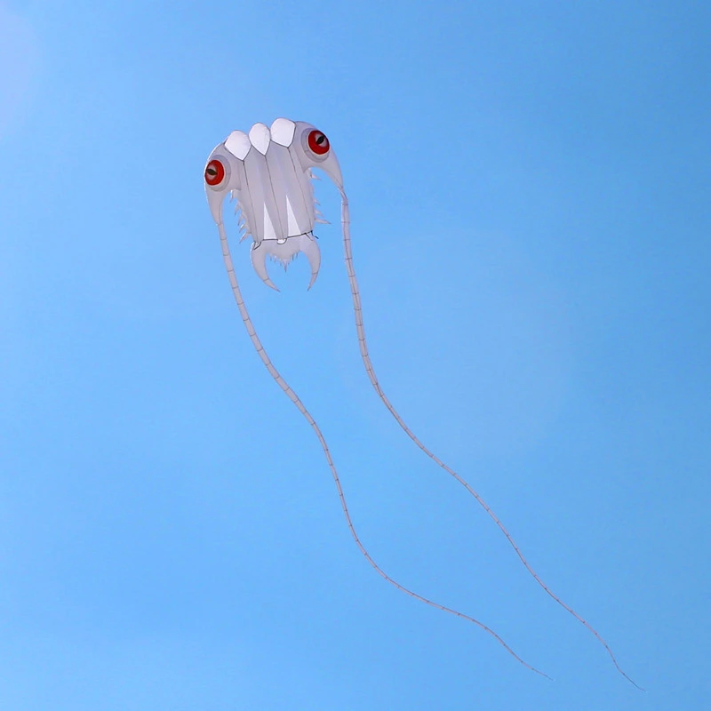Weißer Trilobites-Drachen fliegend für Erwachsene, Drachen, Nylon, weiche Drachenrolle, aufblasbare Drachen, Spielzeug, professioneller Fallschirm, Windsurfen, Koi