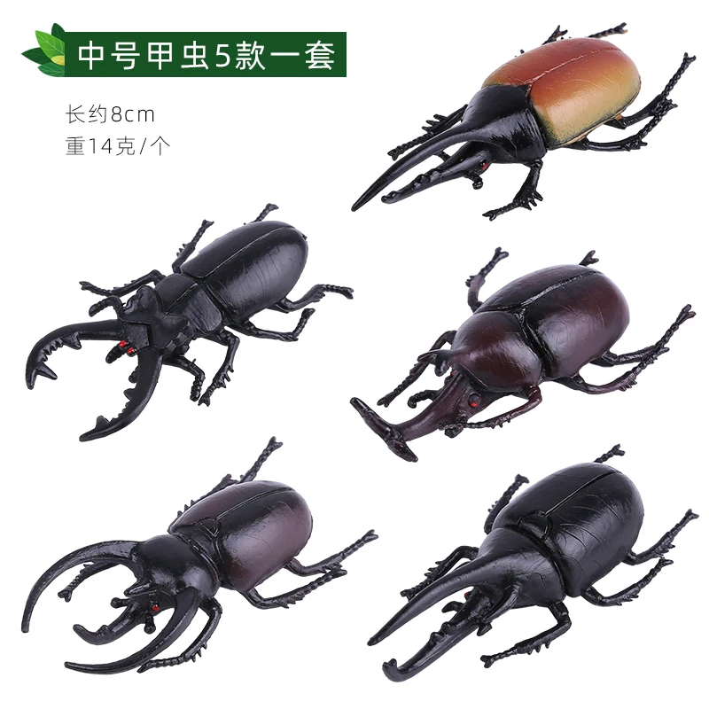 Realistische Insectenmodellen Simulatie Kever Model Grappen Speelgoed Educatief Speelgoed Halloween Enge Gag Party Leuke Nieuwigheid Prank Rekwisieten
