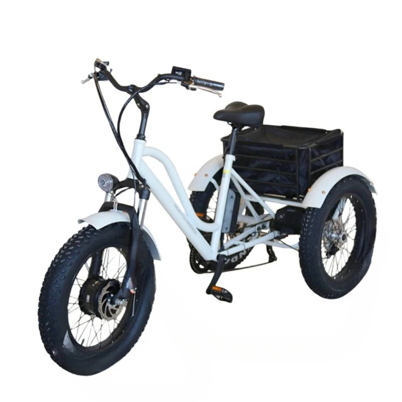 Foldable Electric Tricycle with Wide Tires Foldable E-Bike with Gear Shifting for Adults