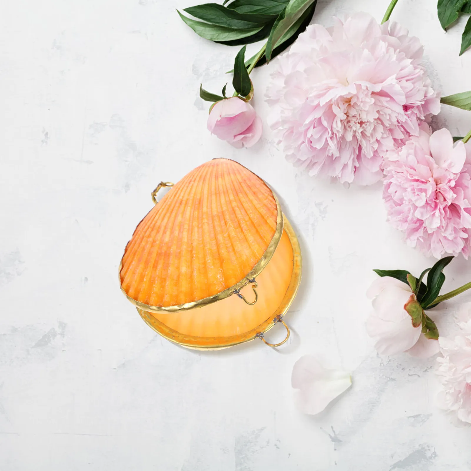 

Seashell Jewelry Case Storage Box for Trinkets Earrings Bracelets Organizer Compact Decorative Container Shell Shaped Sundries