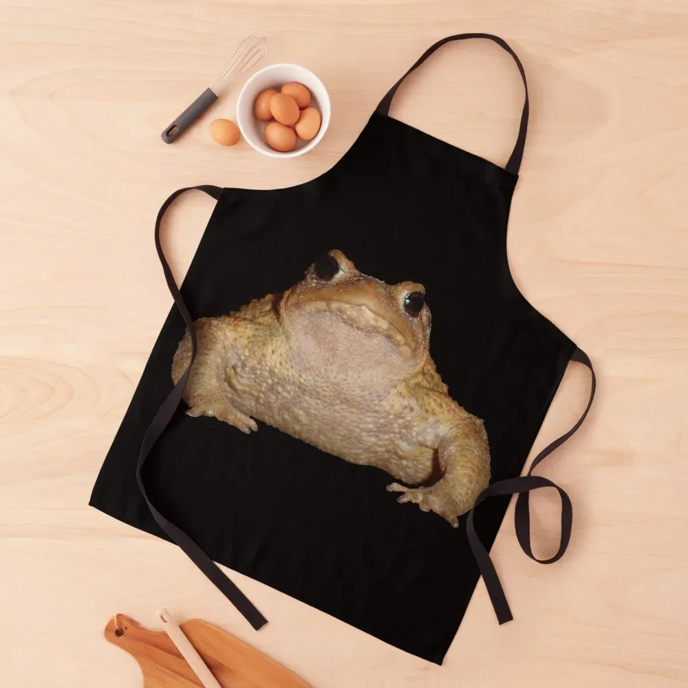 Bufo Bufo European Toad Close Up Photo Portrait Apron Waterproof women Barber Things For Home And Kitchen Chef Accessories Apron