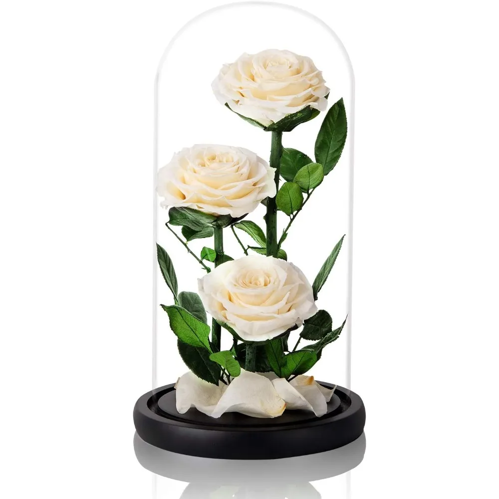 

White Roses Handmade Preserved Rose in Glass Dome, Preserved Flowers Never Withered, Birthday Gifts for Women (13 inch)