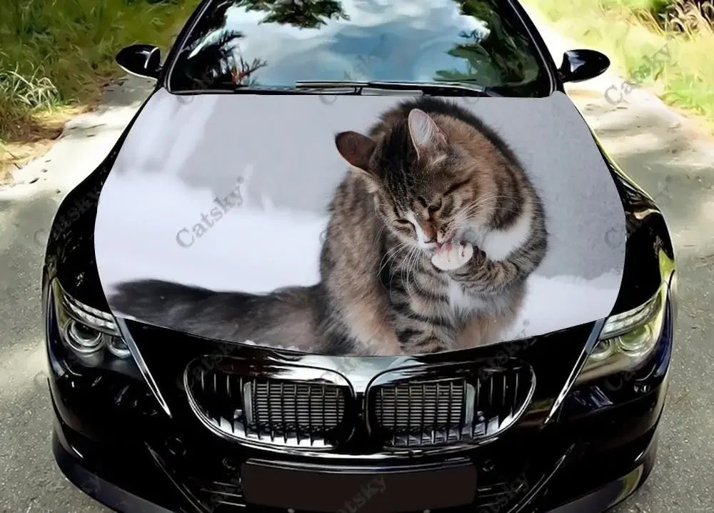 

Custom Winter Cat Car Hood Vinyl Sticker Wrap Engine Cover Decal Sticker Color Graphic Fit Any Auto Accessories Protective Film
