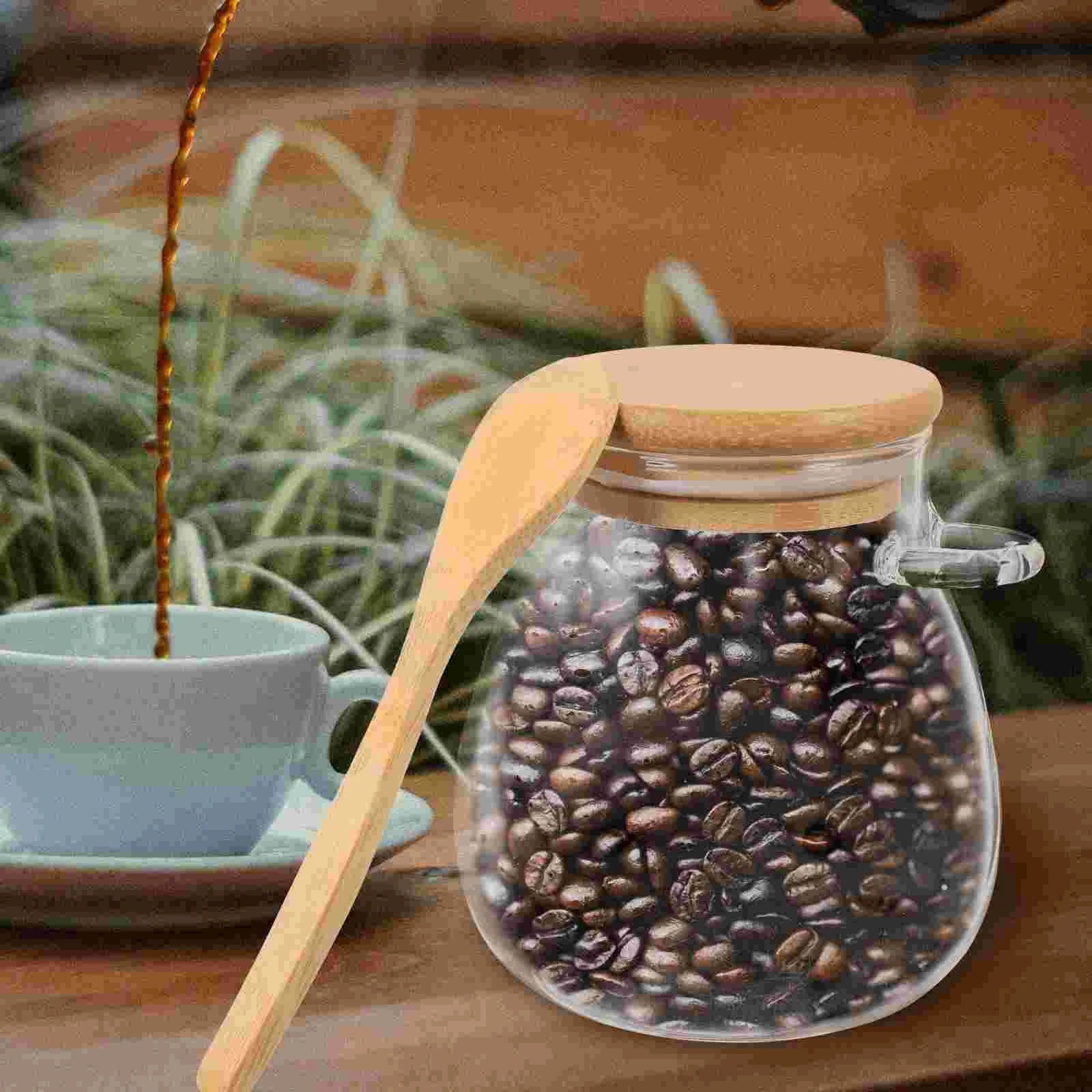 Multi-function Canister Glass Jar Tea Storage Container Terrarium Fogger Accessory