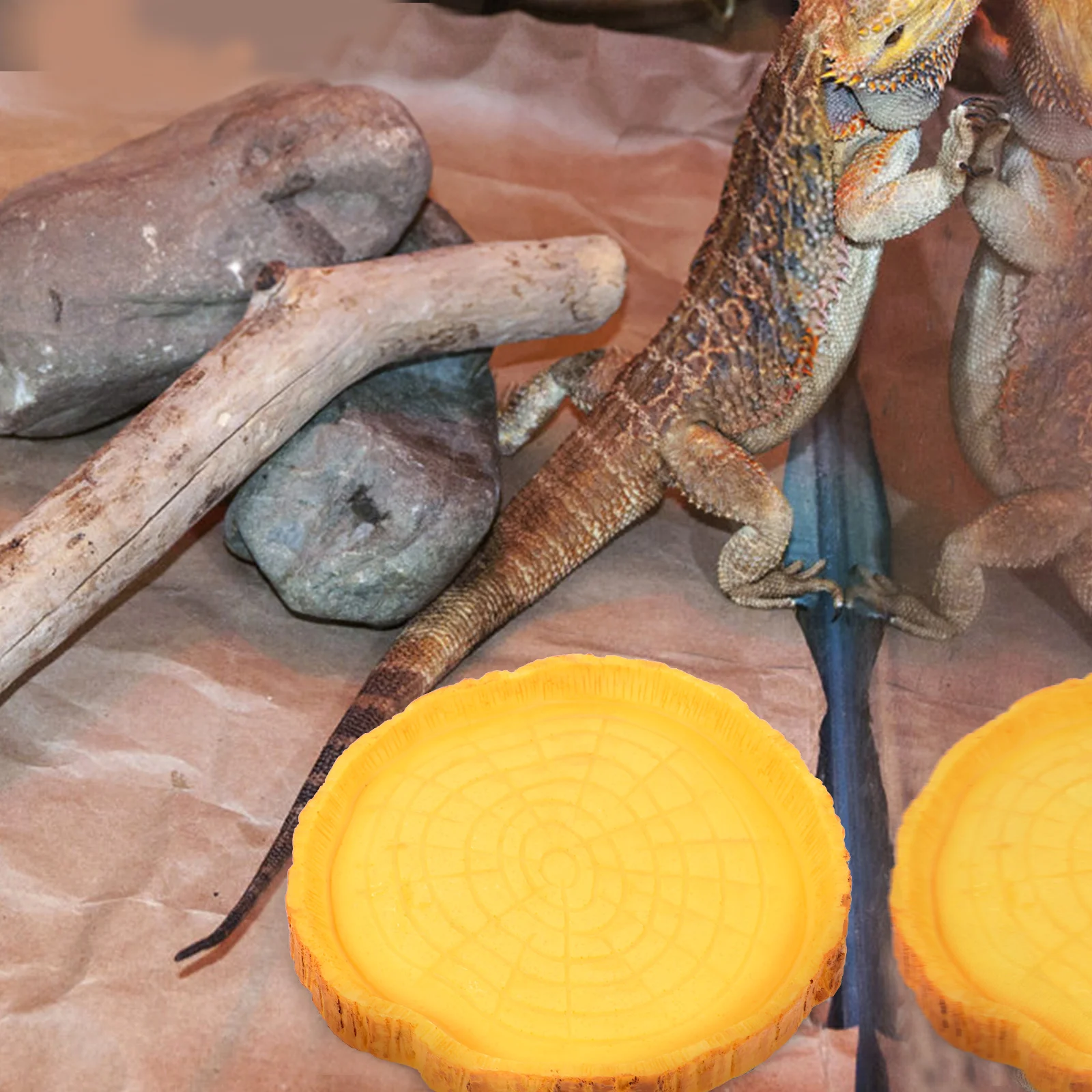 

Reptile Food Water Bowl Large Size Resin Material Yellow Terrarium Feeding Bowl Pet Supplies Turtle Lizard Geckos Reptile