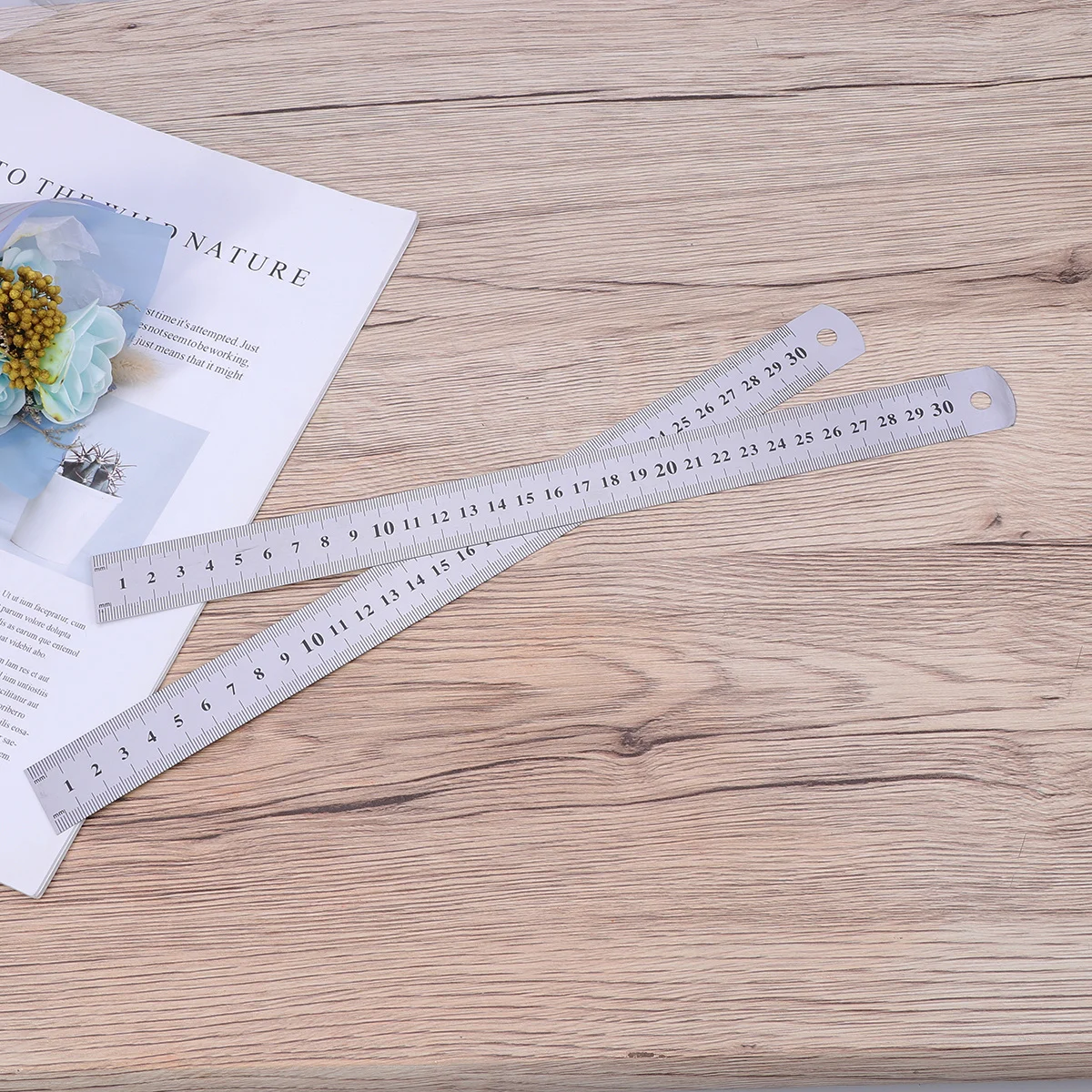 10 Buah Penggaris Logam Baja Tahan Karat 30Cm Skala Sisi Ganda Alat Ukur Rumah Kantor Sekolah Akurasi Tinggi Perak