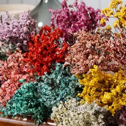 5g/Colorful Preserved Crystal Grass Home Decoration Wedding Decoration Scented Candles Epoxy Handmade DIY Material
