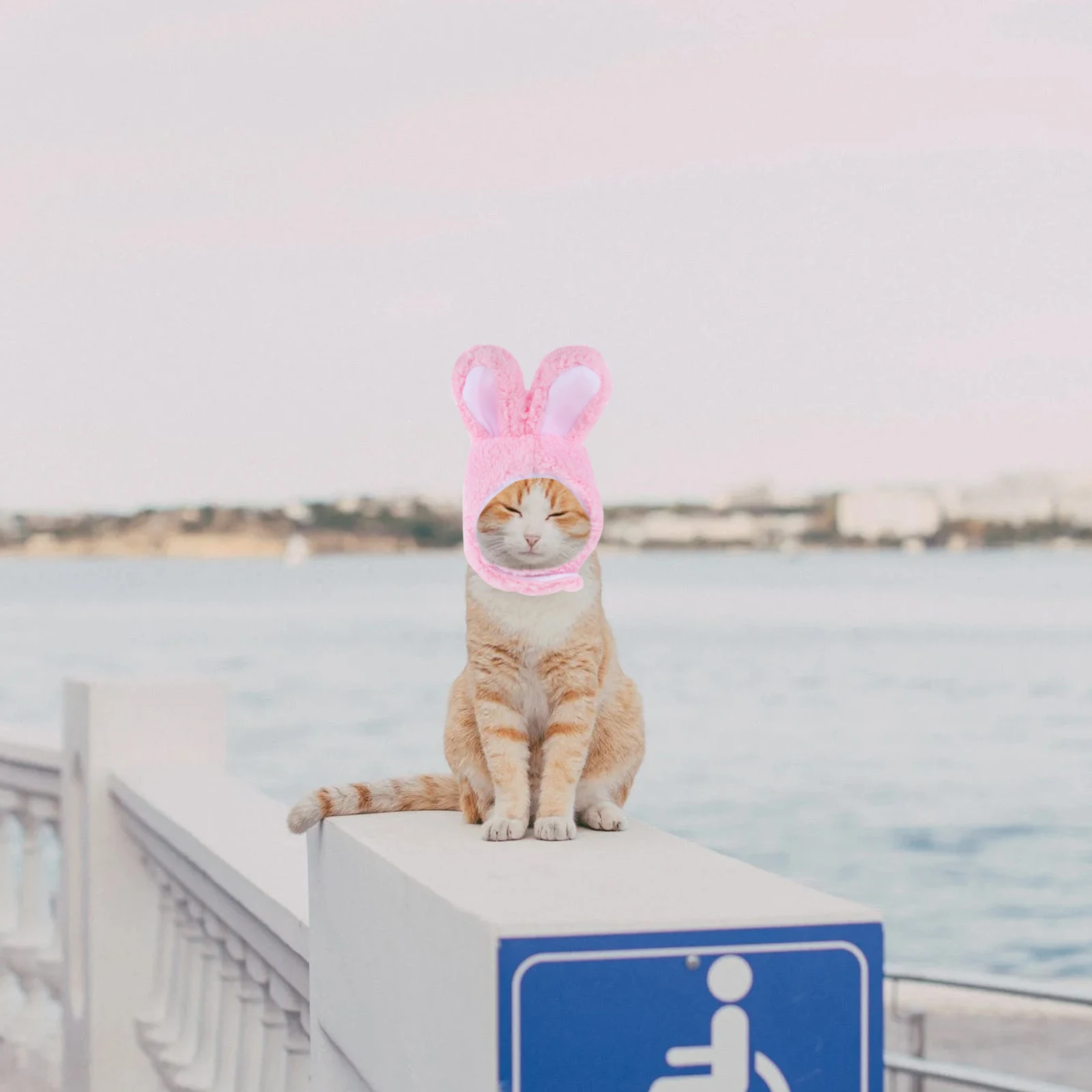 

2Pcs Small Pet Rabbit Ear Cosplay Hat Lovely Cat Dog Decorative Party Costume Hat Pet Dress Up Costume Cat Supply