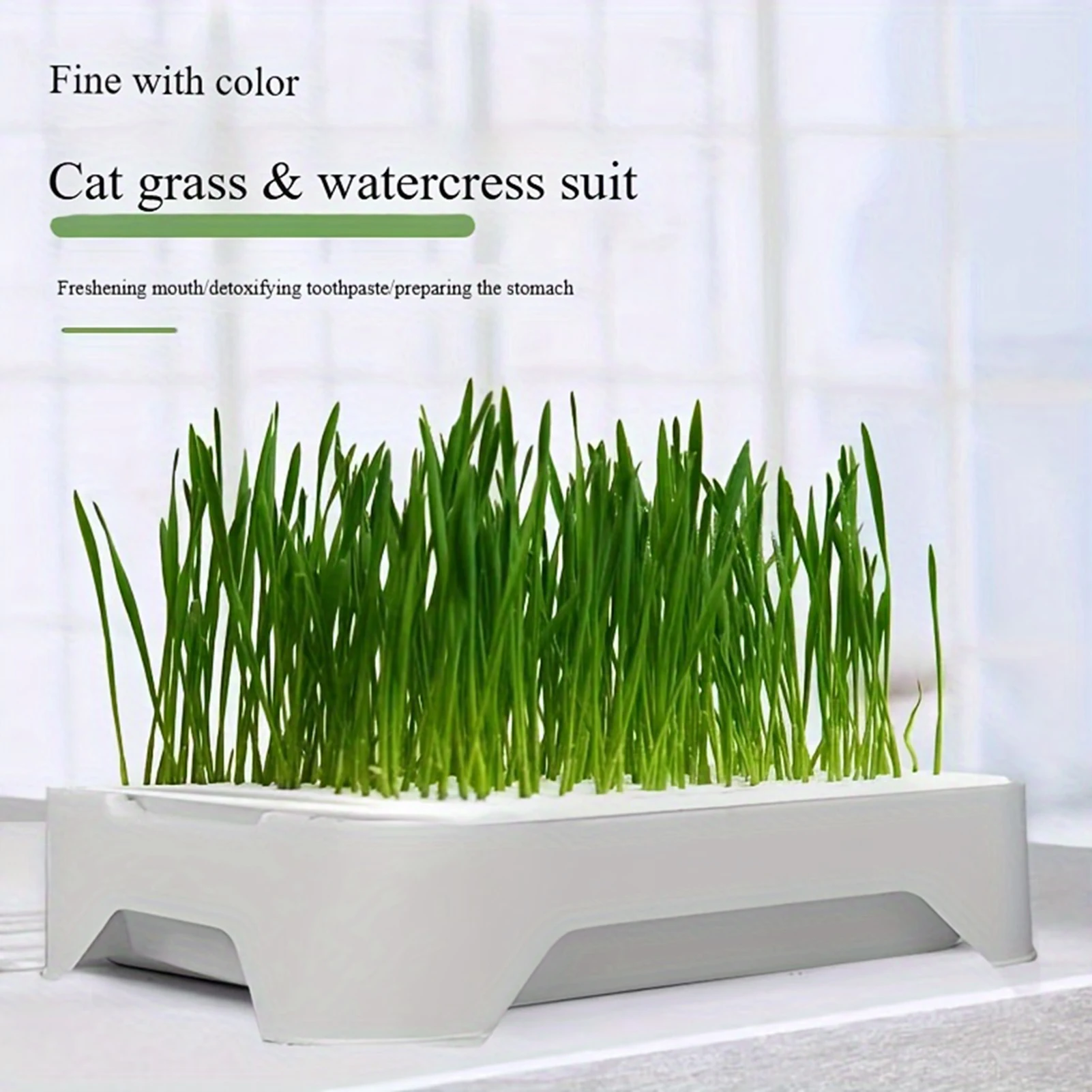 Indoor Pet Cat Grass Planter Box Complete Soilless Hydroponic Kit With Durable Plastic Container Fresh Wheatgrass