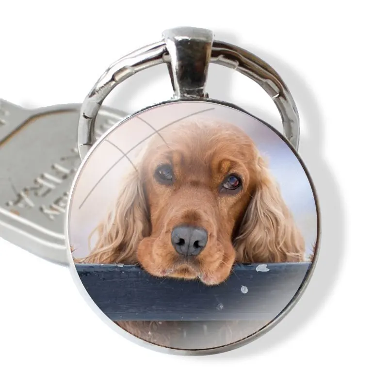 25mm Glass Cabohcon Keychain Key Rings for Women Men Jewelry Gift Cocker Spaniels dog puppies Poster