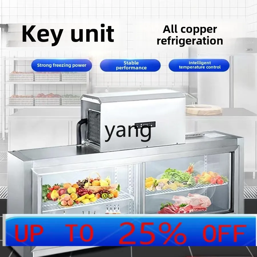 CX commercial wall-mounted freezer kitchen vertical countertop refrigerated display wall cabinet