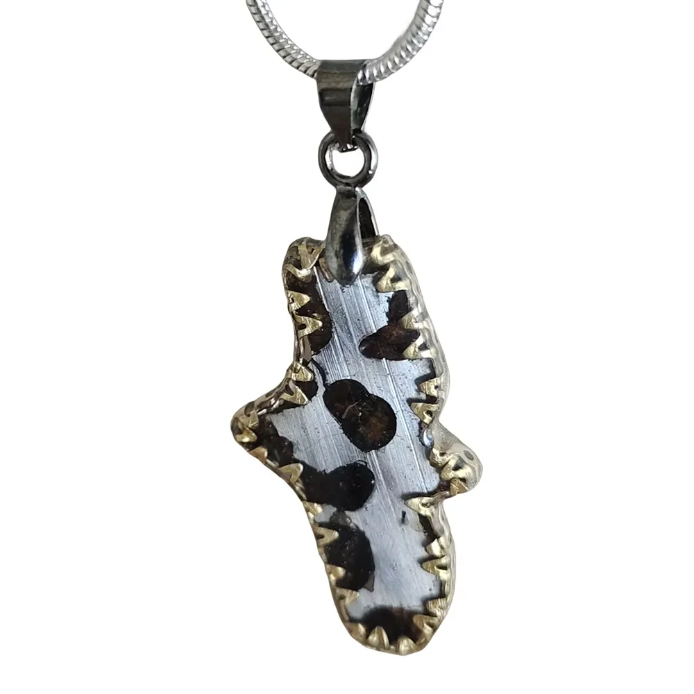 2.7g Brenham Olive Meteorite manual Pendant Olive Meteorite Natural Olive Meteorite Necklace Pendant Specimen Collection- TB243