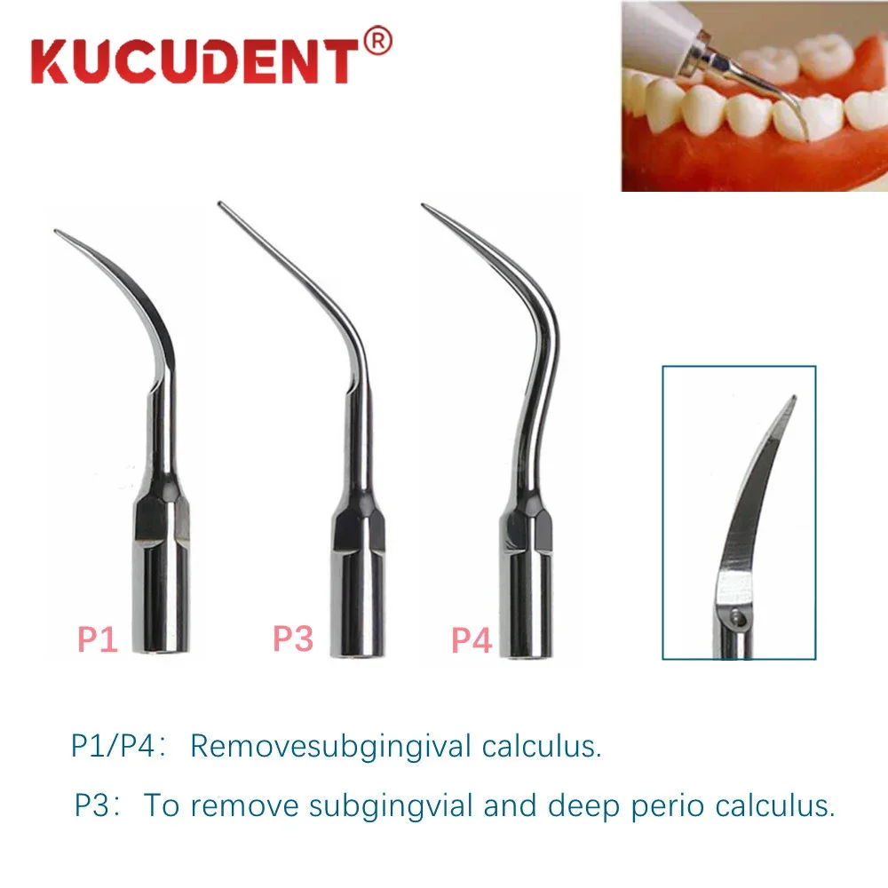 5Pcs/Set Dental Scaler Tip Fit EMS/WOODPECKER/SATELEC/DTE/NSK Ultrasonic Scaler Handpiece Endodontics Scaling Tips P1 P3 PD4 PD3