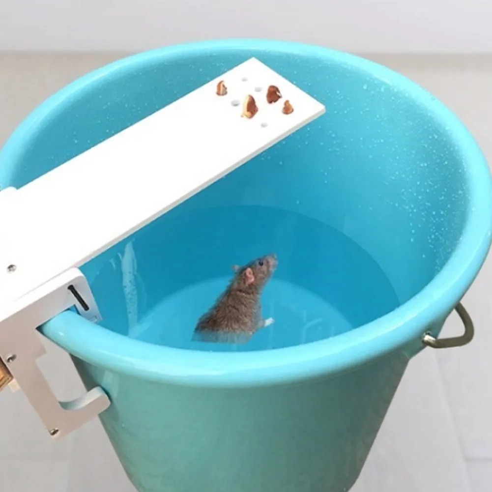 Seesaw Mouse Catcher Seesaw Rodent Trap DIY Mouse Trap Mouse Mice Rodent Trap Seesaw Auto Reset Bait Catcher Plank Mouse Trap