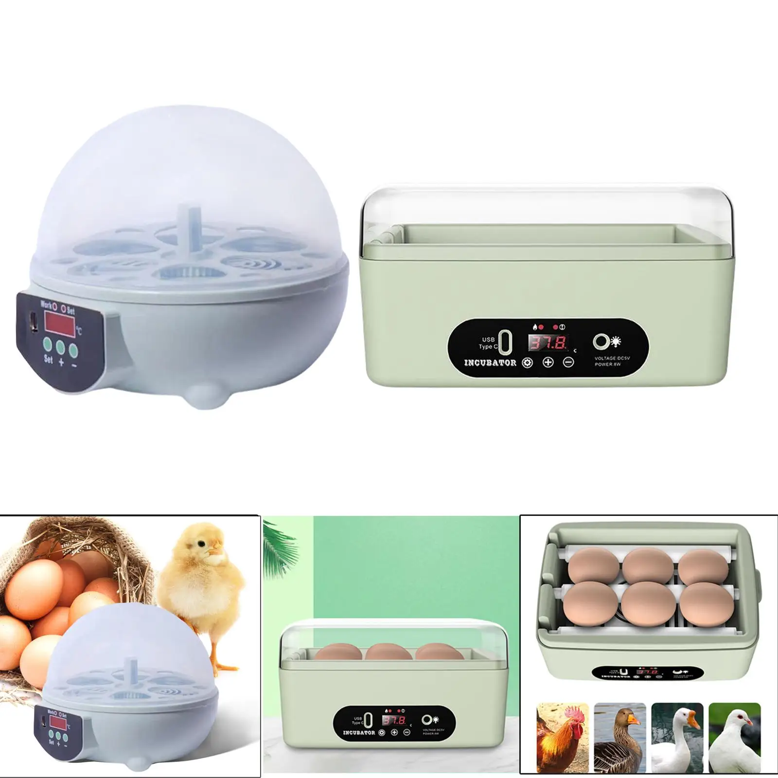 Automatic Egg Incubator, Egg Turner Egg Hatcher Digital Poultry 6 Egg Hatching Temperature Control for Goose Birds Quail