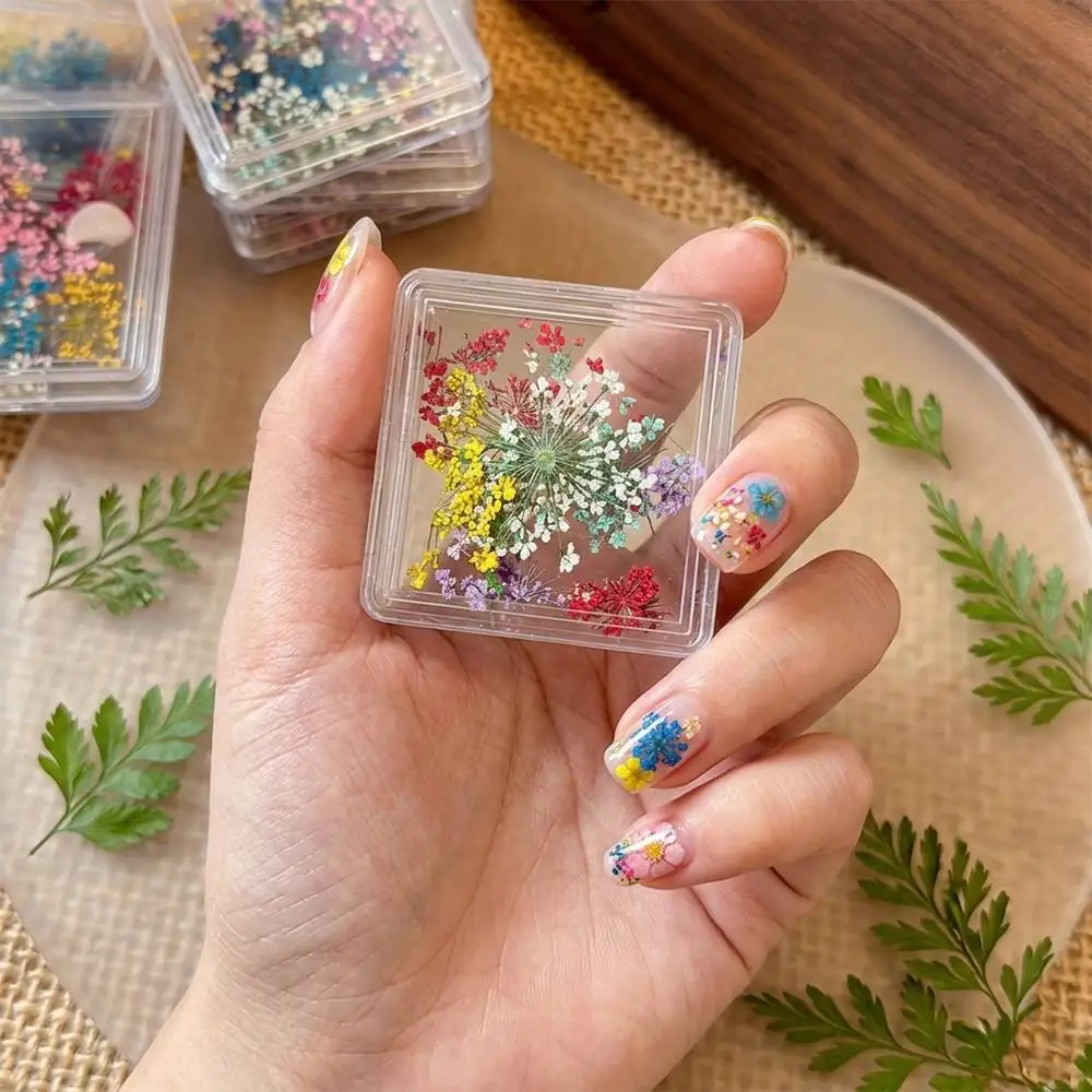 1Box Delicate 3D Starry Blossoms Manicure Charms Assorted Pastel Colors Nail Art Decoration Perfect For  Design Nail Supplies