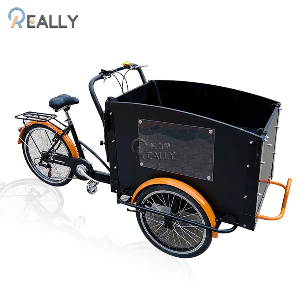 Hot Sale Cargo Bike 3 Wheel Bicycle Cheap Electric Adult Tricycle with Aluminium frame