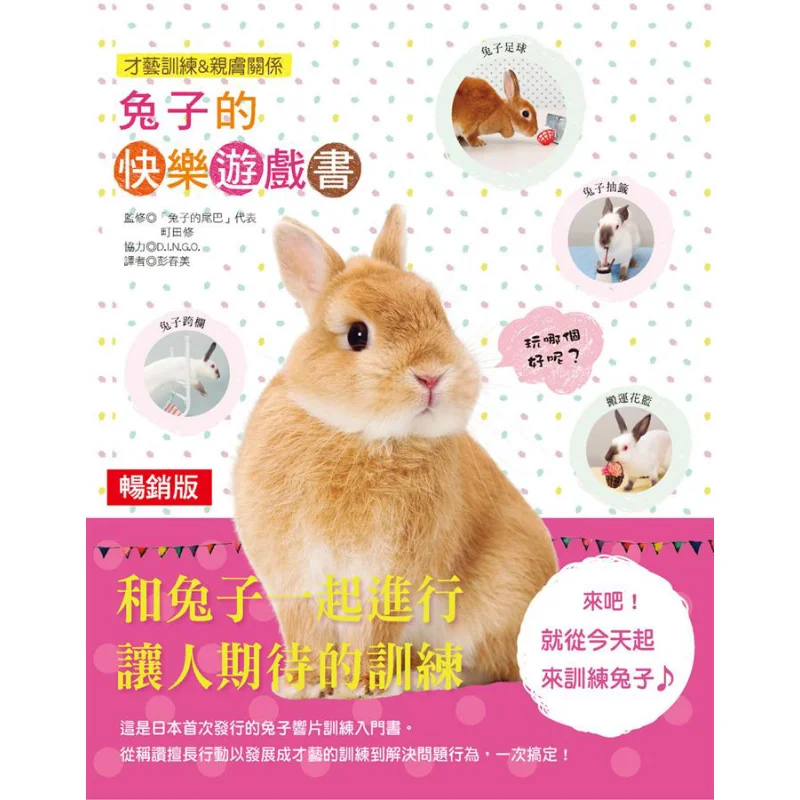 

The Rabbits Happy Game Book Bestseller Edition Shu Machida Hanxin Culture 9789576867859 Book