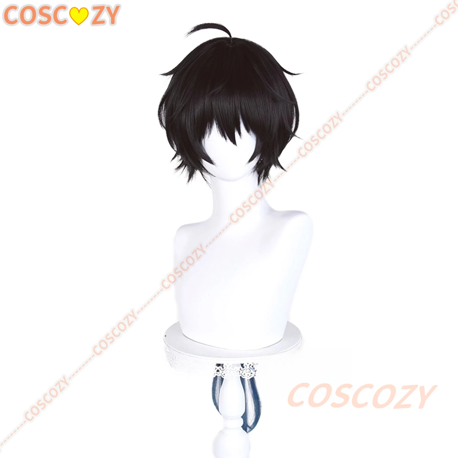 Honkai Star Rail Dan Heng Permansor Terrae Cosplay peluca negro azul pelo largo Amphoro Festival fiesta de Halloween para mujeres y hombres