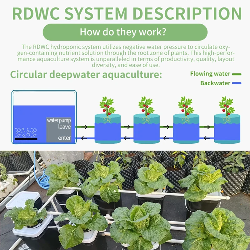 Hydroponisches RDWC-System für den Heimbalkon, holländisches Eimer-Anbauset, bodenfreie Pflanzausrüstung