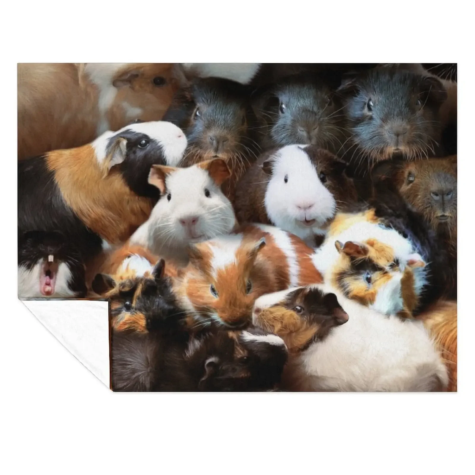 

Guinea Pigs Throw Blanket Heavy Bed linens Bed Fashionable Comforter Blankets