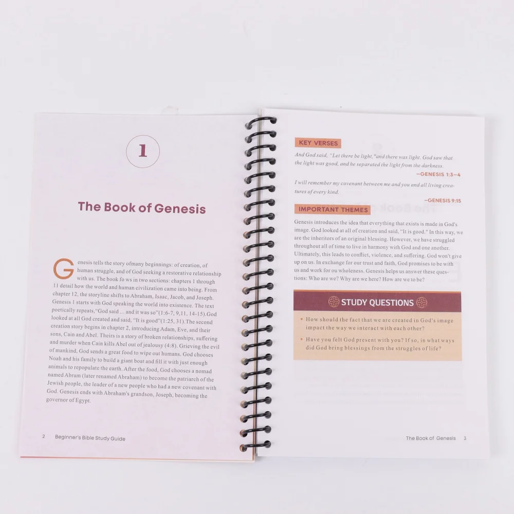 Bibbia preparata semplice: guida per principianti a tutti i 66 libri con temi, lezioni e intuizioni spirituali