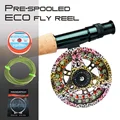 Rainbow Prespooled