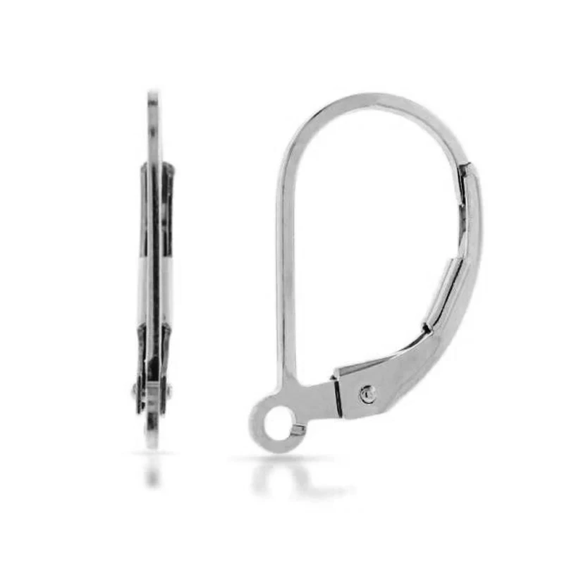 

20Pcs Surgical Stainless Steel Hypoallergenic Leverback W/ Open Ring Earring Hooks Ear Wire for Diy Earrings Jewelry Making