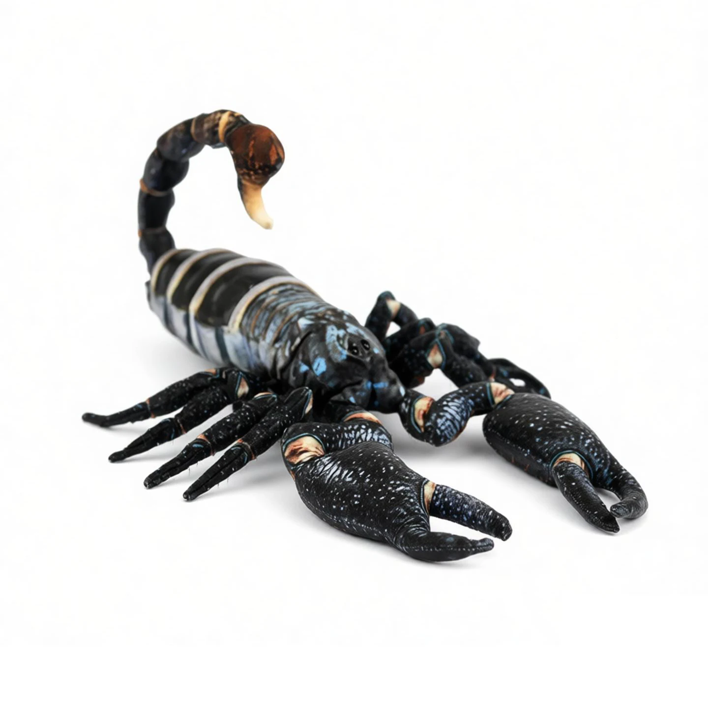 Ryukyu Island Scorpion Emperor Black Insect Wild Nature Zoo Model