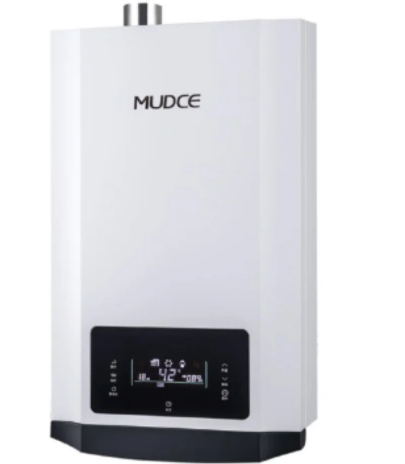 20L 24L 35W Save Energy and Various Function Tankless Constant Temperature Instant Gas Water Heater for Shower